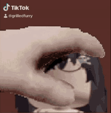 a pixelated image of a person 's face with the words tiktok @grilledfurry at the top