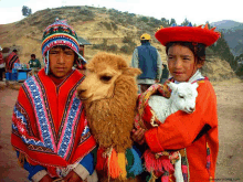 a boy and a girl are holding a llama and a lamb