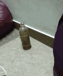 a bottle is sitting on the floor next to a bean bag chair