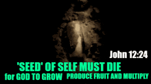 a poster with a quote from john 12:24 that says seed of self must die for god to grow produce fruit and multiply