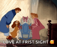 a cartoon of lady and the tramp with the words love at first sight