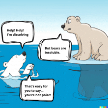 a polar bear is talking to another polar bear in the water