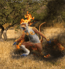 a monkey with flames coming out of its head is in a field