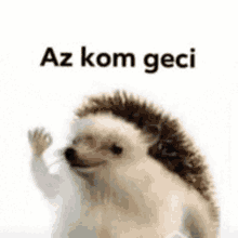 a hedgehog is waving at the camera with the words `` az kom geci '' written on it .