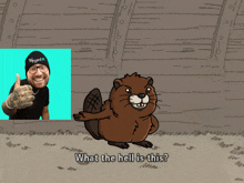 a cartoon of a beaver with the words what the hell is this