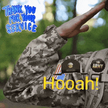 a soldier salutes with the words thank you for your service hoooh