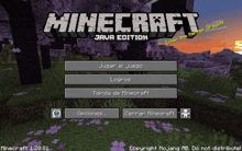 a screenshot of a game called minecraft