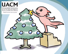 a cartoon of an axolotl decorating a christmas tree with the uacm logo in the background