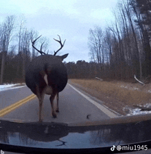 a deer standing on the side of a road with the hashtag miu1945