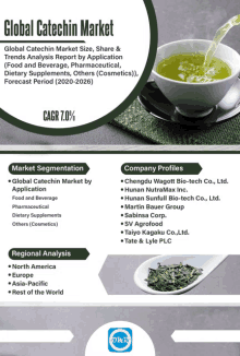 an advertisement for the global catechin market shows a cup of tea