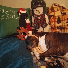 a dog is laying on a couch with a pillow that says waiting for santa paws on it