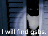 a black and white cat peeking out from behind a door with the words " i will find gsbs " below it
