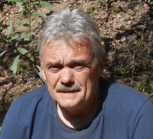 a man with gray hair and a mustache wearing a blue shirt is sitting in the woods .