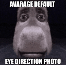 a close up of a horse 's face with the caption avarage default eye direction photo .