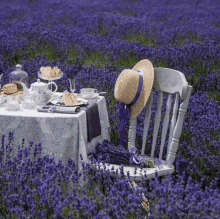 a white chair with a straw hat on it sits in a field of purple flowers