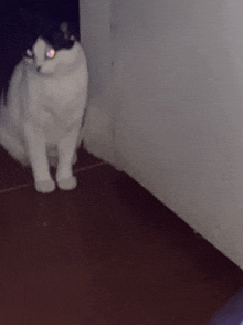 a black and white cat with yellow eyes is standing in a corner