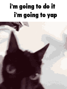 a black cat with the words i 'm going to do it i 'm going to yap written above it
