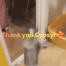 a picture of a cat with the words thank you gypsy above it