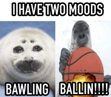 a picture of a seal next to a picture of a basketball that says " i have two moods "