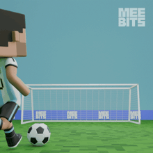 a soccer player with arg 10 on his jersey stands in front of a goal