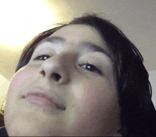 a close up of a person 's face with a slight smile on their face