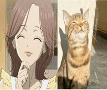 a picture of a cat next to a picture of a woman