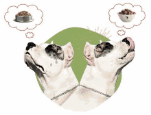 two dogs are looking up at a bowl of food and one is crying .