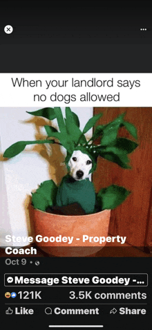 a picture of a dog in a potted plant with a caption that says when your landlord says no dogs allowed