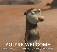 a cartoon opossum says you 're welcome anything / everything for you gorgeous !