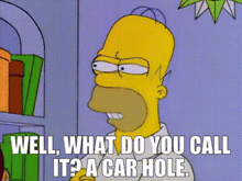 a cartoon of homer simpson saying well what do you call it ? a car hole