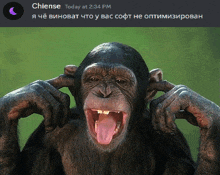 a picture of a chimpanzee covering its ears with its tongue and a message from chiense today at 2:34 pm