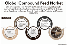 a poster for the global compound feed market shows various types of feed