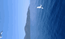 a seagull flying over a body of water with mountains in the background