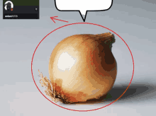 a picture of an onion with a speech bubble above it that says onion # 1779