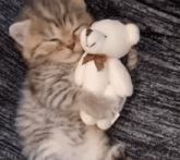 a kitten is sleeping with a teddy bear on a couch .