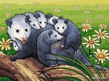 a family of opossums are sitting on a log in a field of flowers