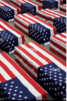 a row of american flag coffins are lined up