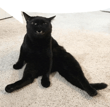 a black cat is laying on a white carpet with its mouth open