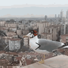 a seagull wearing a helmet and goggles is standing on top of a building in front of a city .