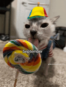 a cat wearing a clown hat is licking a lollipop that says september on it