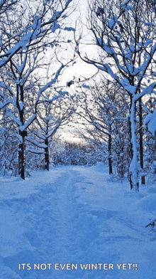 a snowy forest with the words " it 's not even winter yet " at the bottom