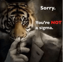 a tiger in a suit is holding a cigar and says sorry you 're not a sigma .