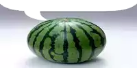 a watermelon with a white speech bubble above it