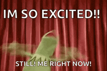 I'M So Excited Gif GIF