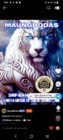 a picture of a white lion with blue eyes on a phone screen