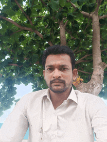 a man in a white shirt takes a selfie under a tree