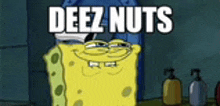 spongebob from spongebob squarepants is standing in front of a toilet with the words `` deez nuts '' on it .