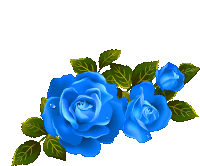 a bouquet of blue roses with green leaves on a white background