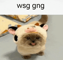 a cat wearing a cow costume with the words wsg gng written above it