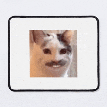 a cat with a mustache is making a funny face on a mouse pad .